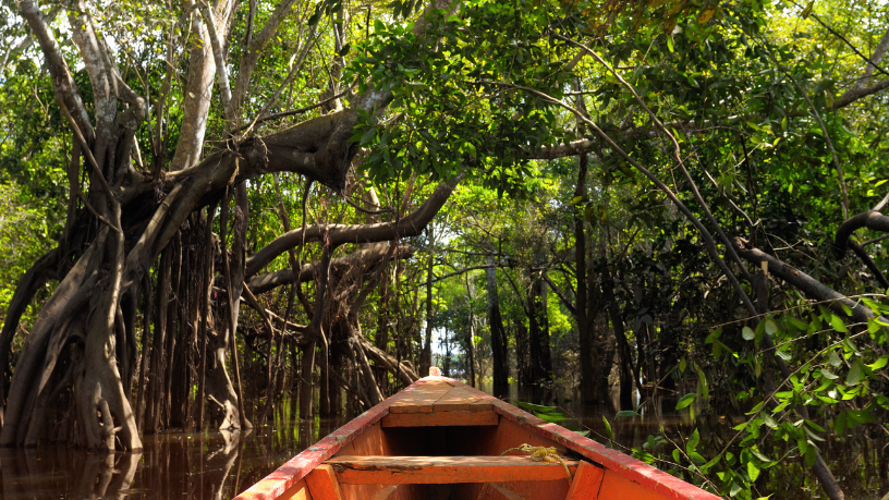 Uma jornada sensorial e cultural guiada por Leonardo Rocha de Almeida Abreu no coração amazônico, onde rios, aromas e histórias se encontram.