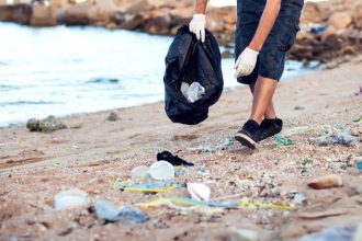 Mar Sem Lixo em Ubatuba: como a mobilização ambiental está transformando o litoral paulista