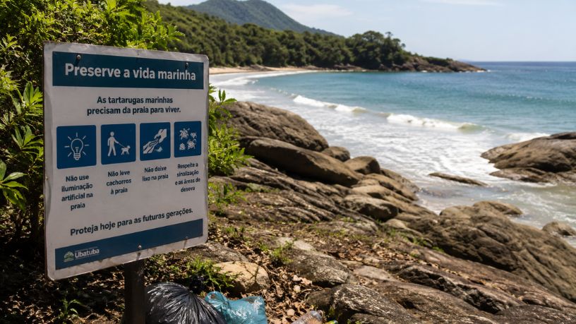 Preservação Costeira em Ubatuba e Economia Azul: Como a Conscientização Ambiental Fortalece o Turismo Sustentável