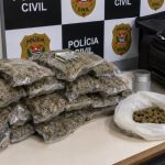 Combate ao Narcotráfico e Segurança de Fronteiras: Os Desafios do Policiamento Rodoviário nas Rotas Litorâneas