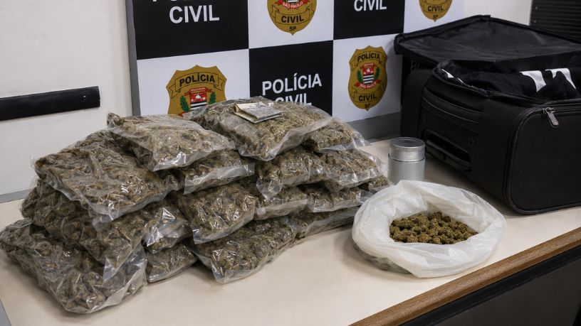 Combate ao Narcotráfico e Segurança de Fronteiras: Os Desafios do Policiamento Rodoviário nas Rotas Litorâneas