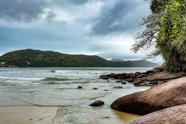 Vista da Praia da Enseada, em Ubatuba, com águas tranquilas e morros cobertos de vegetação