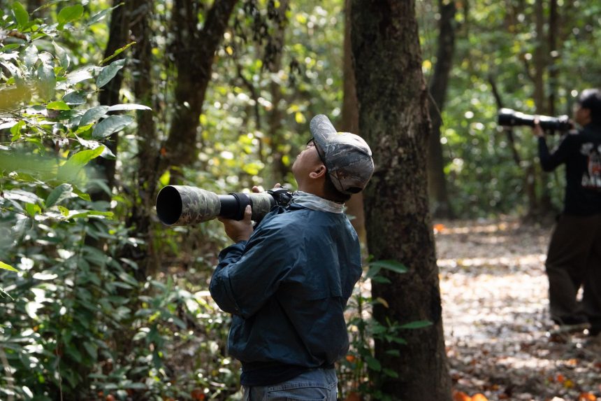 Duas pessoas equipadas com câmeras observam a natureza em uma floresta.